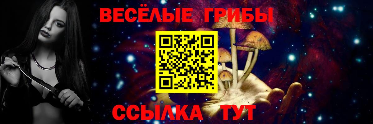 Кимры  Псилоцибиновые грибы ЛСД  Вход с VPN  Псилоцибиновые грибы мицелий 